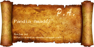 Pandia Amadé névjegykártya